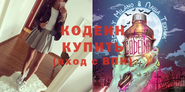 трава Гатчина